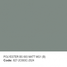 POLYESTER BS 693 MATT MG1 (B)